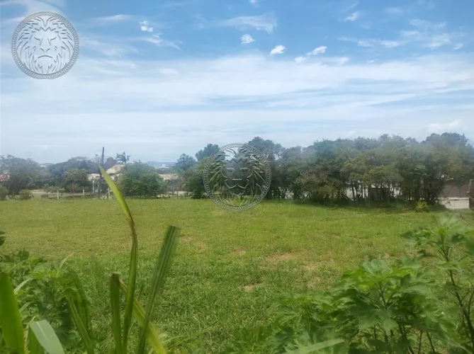 Terreno para locação no Campeche/Florianópolis