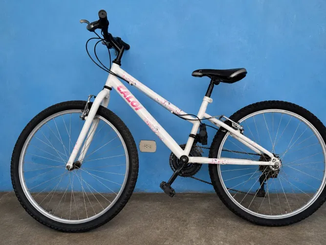 Bicicleta aro 24