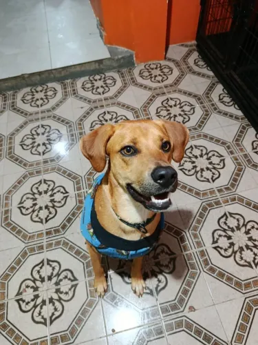 DOAÇÃO