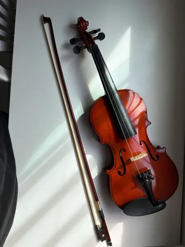 Violino vogga