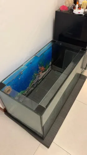 AQUÁRIO MARINHO COMPLETO - 200 LITROS R$ 1.000