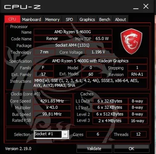 Ryzen 5 4600G + Cooler Original AMD | Testado | 6C/12T