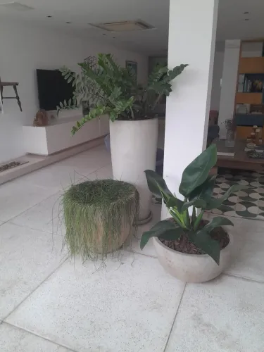 YAMADA paisagismo