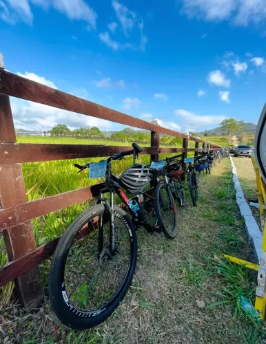 Bicicleta Feminina Absolute hera Aro 29 | Quadro 15