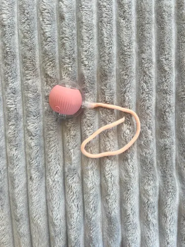 Brinquedo para pet