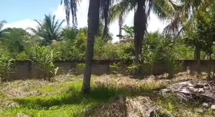 Terreno grande 924m² perto da praia com escritura - Santa Cruz Cabrália