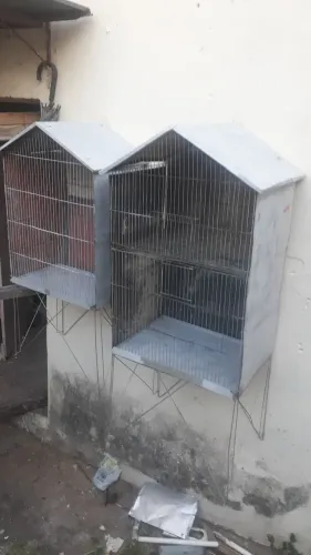 Vendo 2 ótimos viveiros, 100,00 cada. Baratos