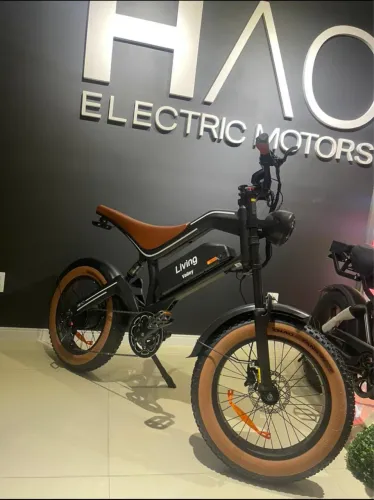 Bike elétrica 750w 0km