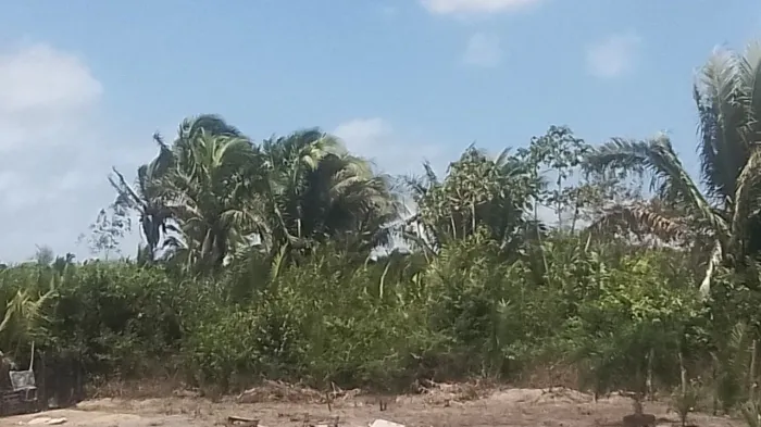 Vendo terreno no valor de 15.000, medindo 30×40