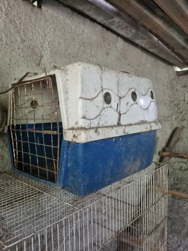 Caixa de transporte pet