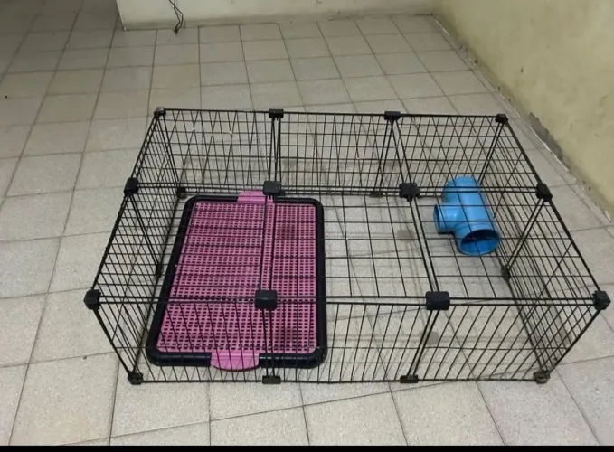 Cercado pra porquinho da índia 