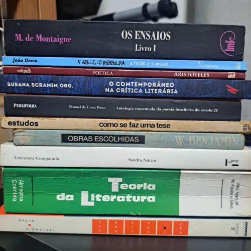 Filosofia, crítica e teoria literária.
