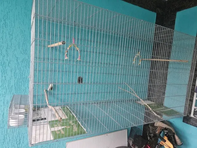 Gaiola Voadeira Suspensa 2,00
