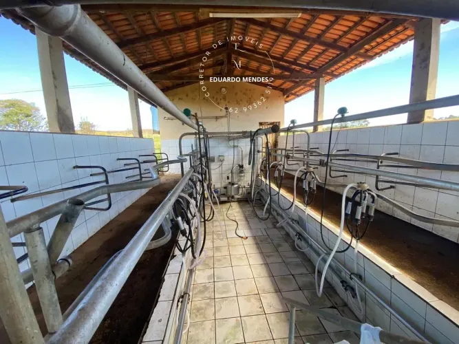 Lindo Sítio com 3.72 alqueires,15 km Anápolis, estrutura p/ gado de leite aceita permutas 
