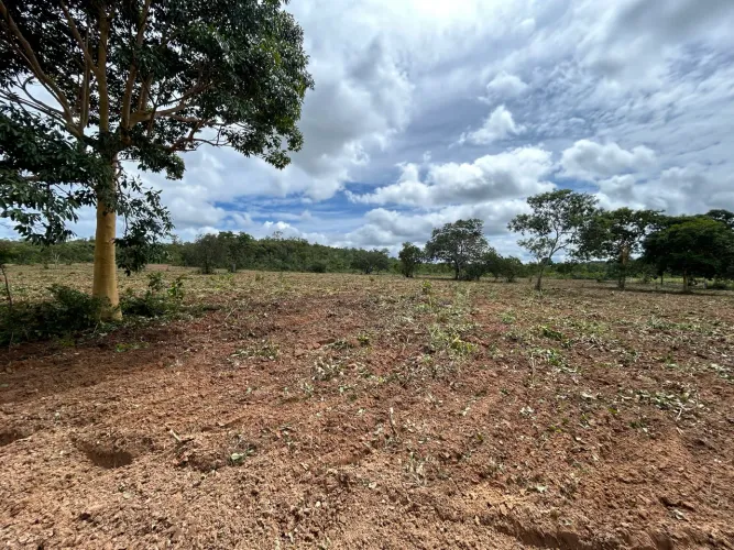 CHÁCARA EM PONTE ALTA DO TOCANTINS