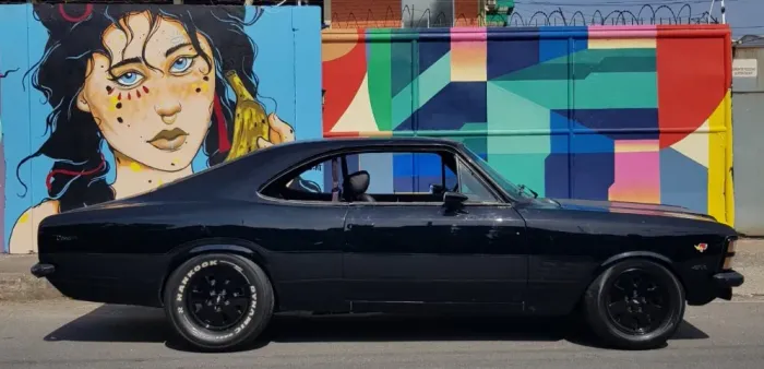 Chevrolet Opala L/sl/ss/ 2.5/4.1 1979