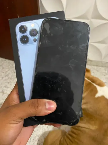 iPhone 13 Pro Max