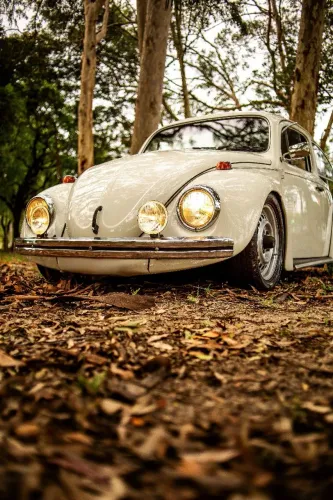 Volkswagen Fusca Fusca (gasolina) 1986