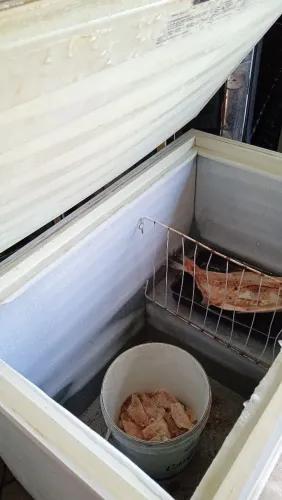 VENDO FREEZER DE UMA PORTA ELECTROLUX GELANDO PERFEITO. FAÇO A ENTREGA