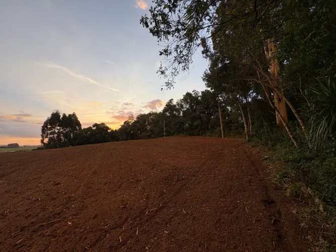 Lote rural 3.360 m² Palmeira, PR 100km de Curitiba
