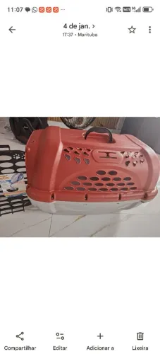 Caixa de transporte PET