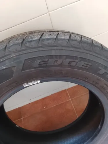Perrou novo de caero