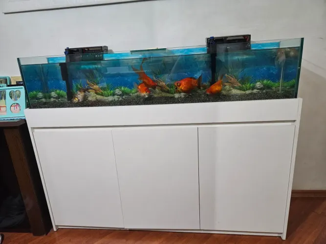 AQUÁRIO COMPLETO COM MÓVEL + FILTRAGEM DUPLA + PEIXES