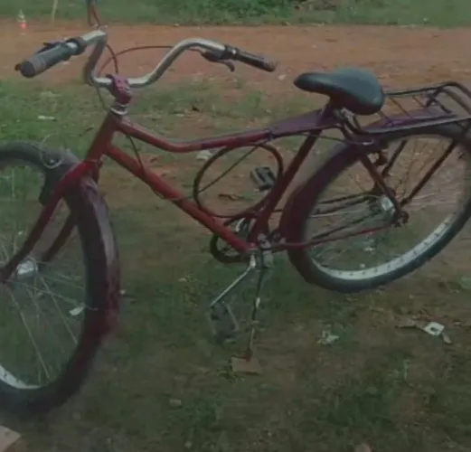 Bicicleta monarqui 200