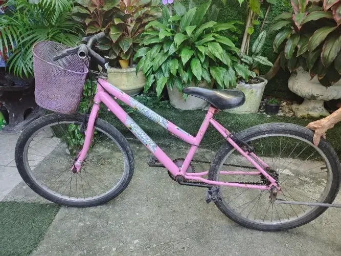Bicicleta Infantil