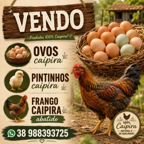Ovos caipira