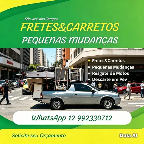 Pequenas Mudanças SJC