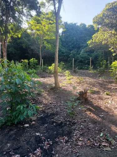 Terreno 1200m2