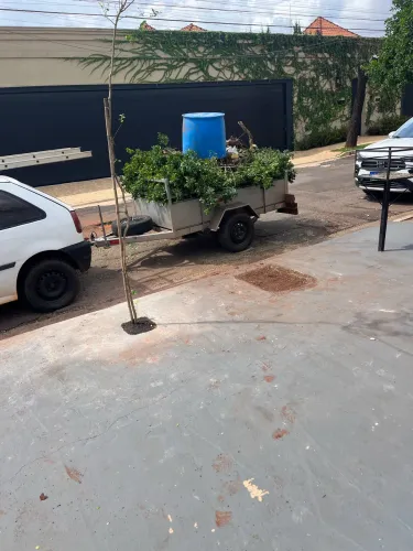 Plantação da grama e mudas 