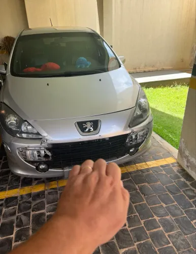Peugeot 307 Soleil/ Presence 1.6/1.6 Flex 16V 5P 2009