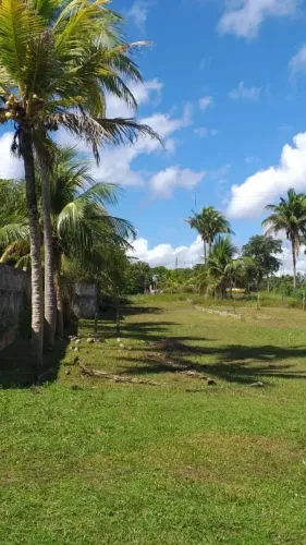 Vende-se Sitio na Estrada de Ribamar - São José de Ribamar - MA