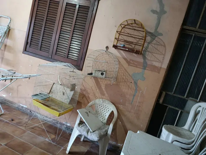Vendo gaiolas e viveiro