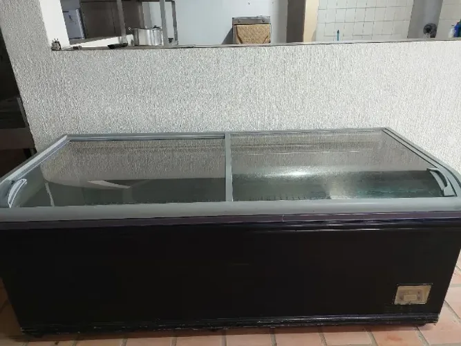 Freezer horizontal