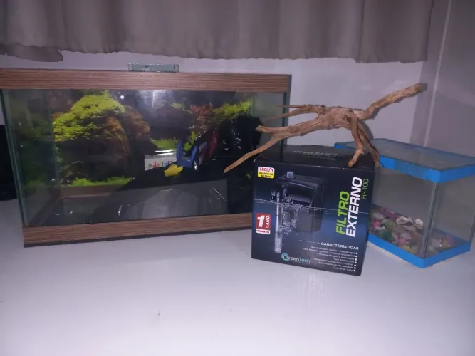 Kit Completo para Aquarismo