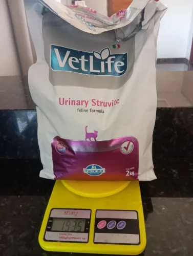 Ração para Gatos para infecção urinária