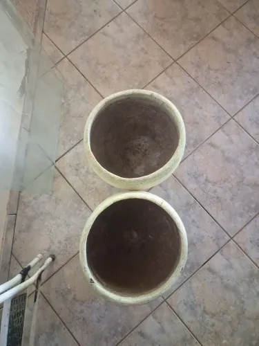 Vasos de planta de barro