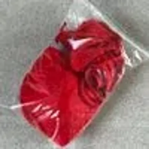 BIQUINI VERMELHO SHEIN GG
