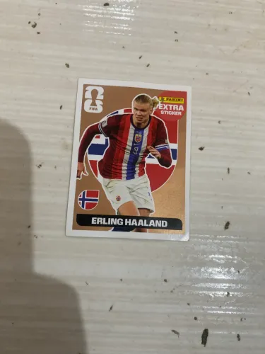 Legend do erling haaland bronze