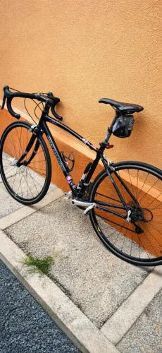 Bicicleta Speed Specialized