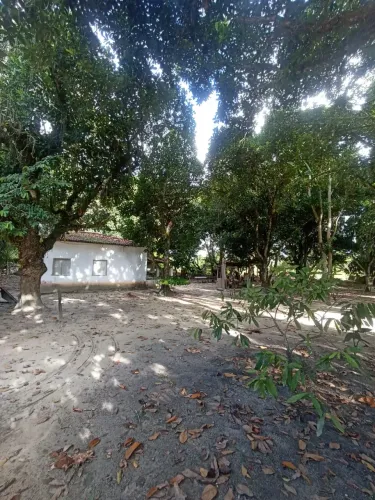 Vende sítio no Juca Rosa