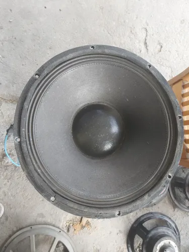 Altofalante de sub1000w mckensiei