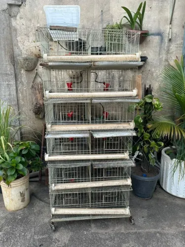 Gaiola de compartimentos para aves