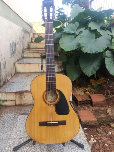 Viola clássico Michael 