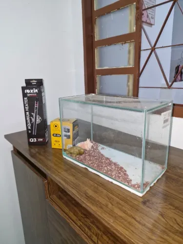 Aquário 9L, termostato e filtro