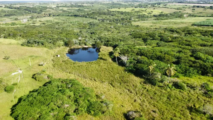 fazenda com 80.5 hectares no vale de Monte Alegre com uma excelente localização pronta par