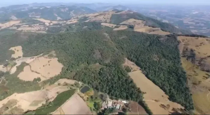 Vendo Sítio 35 Hectares em Andradas/MG